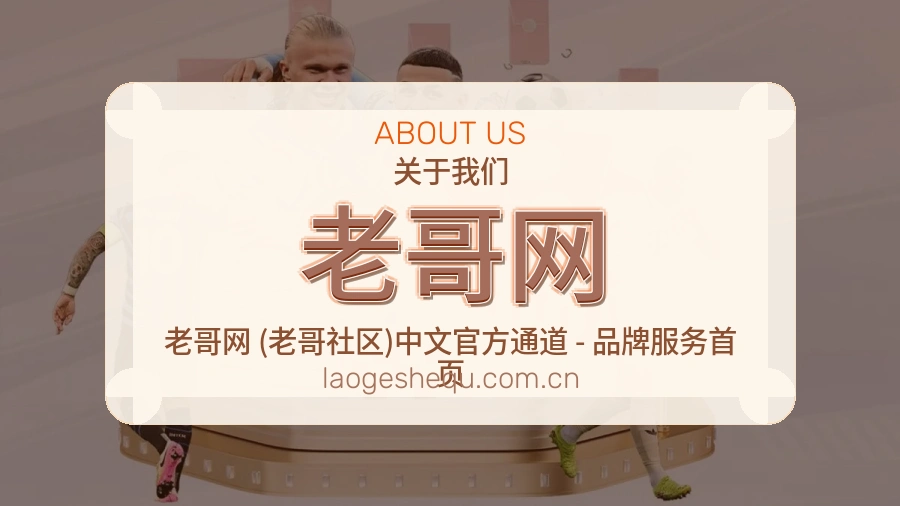 老哥网关于我们服务介绍图